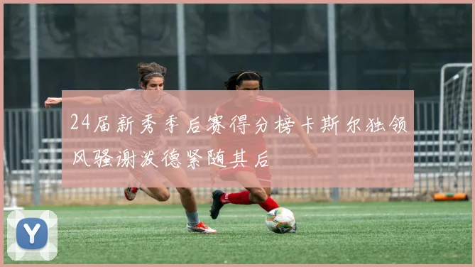 24届新秀季后赛得分榜卡斯尔独领风骚谢泼德紧随其后