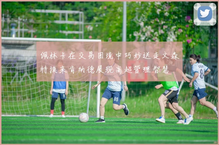佩林卡在交易困境中巧妙送走文森特换来肯纳德展现高超管理智慧