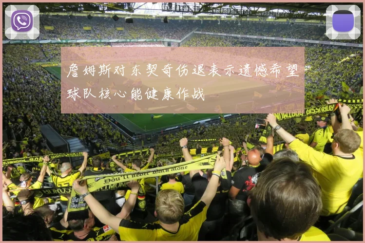 詹姆斯对东契奇伤退表示遗憾希望球队核心能健康作战