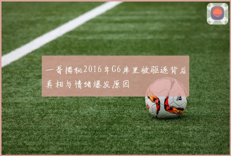 一哥揭秘2016年G6库里被驱逐背后真相与情绪爆发原因